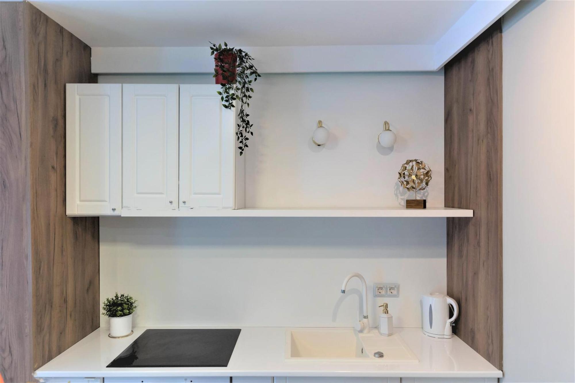 Studio No5 Green Sighişoara Exteriér fotografie